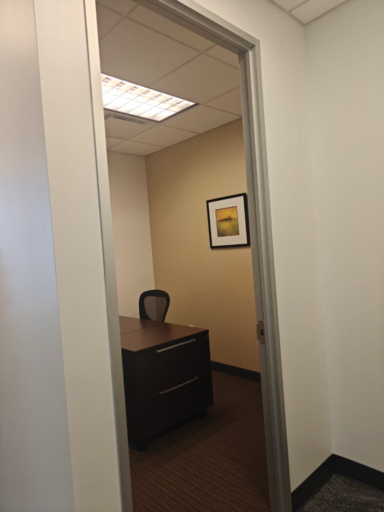Techmines U.S. office — private office viewed from hallway
