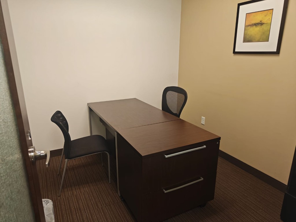 Techmines U.S. office — executive desk with guest seating