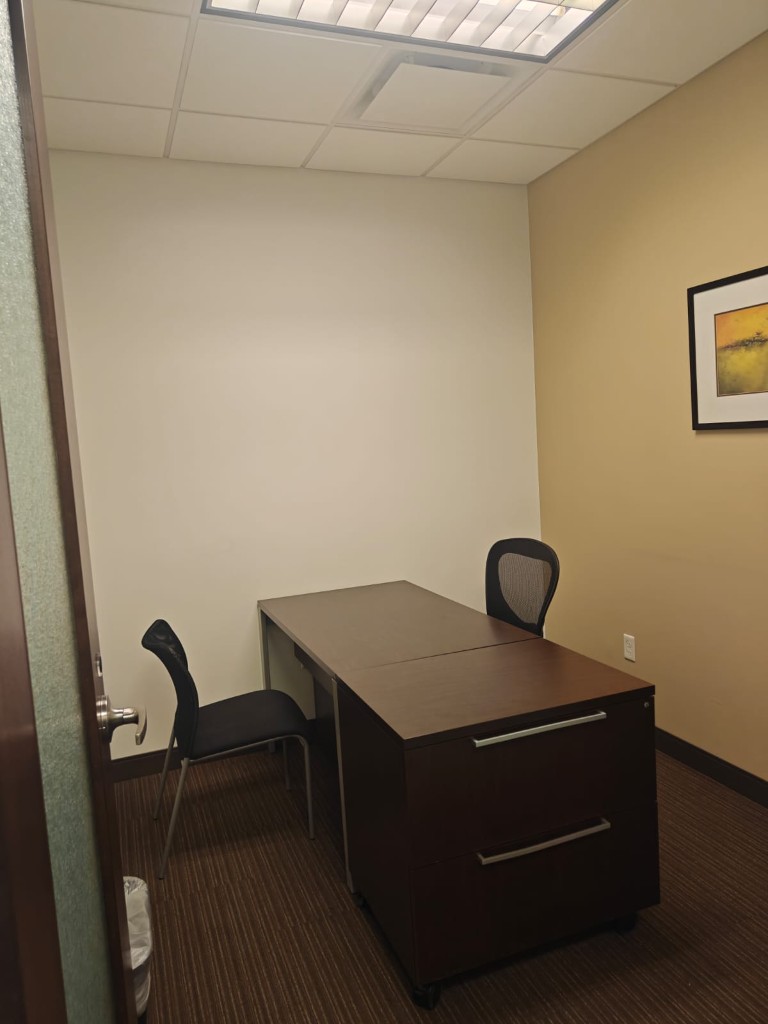 Techmines U.S. office — private workspace with guest chair