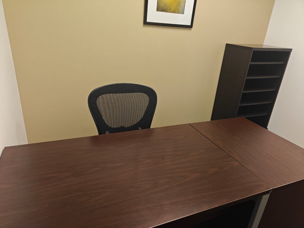 Techmines U.S. office — desk and shelving unit